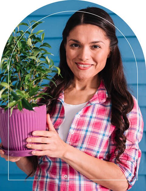 Plants